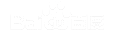 ��³��AI�Ż�